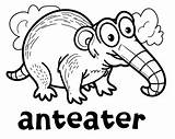 Anteater Coloring Pages sketch template