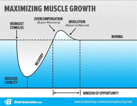 Gain 10 Pounds Of Muscle In 8 Weeks