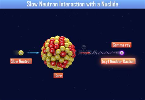 Neutron capture stock illustration. Illustration of nuclear - 51974750