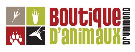 Lapin Bélier | BOUTIQUE D’ANIMAUX DRUMMOND