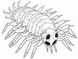 Centipede Coloring Page For Adults  Free Printable In 2024 Insect sketch template