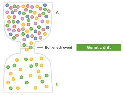 Population Genetics | Concise Medical Knowledge