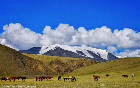 Mongolian Nature and Geography