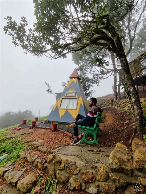 Moonlight Forest Glamping Cabins | Camping in Vagamon, Kerala | Hire A Camp