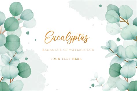 Watercolor Eucalyptus Background Graphic by ningsihretno262 · Creative ...