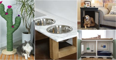 Pet Friendly Home Ideas That Will Amaze You With The Functionality