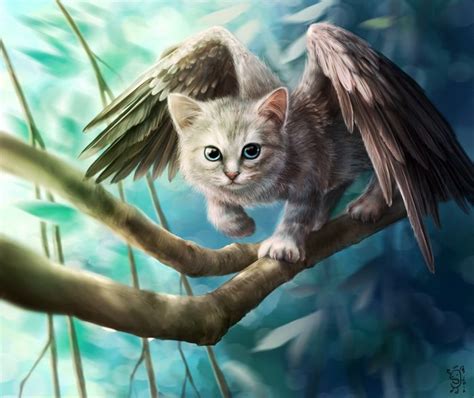 Gryphitten - Magda | Animales, Animales magicos, Felinos