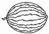 Watermelons coloring Pages  Free Coloring sketch template