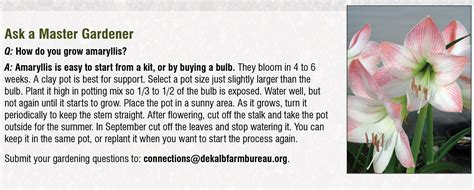 Green Thumb - Gardening on the Internet - DeKalb County Farm Bureau ...