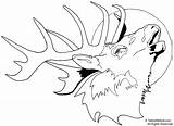 Bull elk coloring Pages Download And Print For Free sketch template