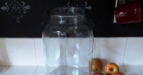 Entropy Kitchen: Making Apple Cider Vinegar