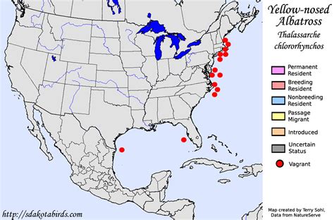 Yellow-nosed Albatross - Species Range Map