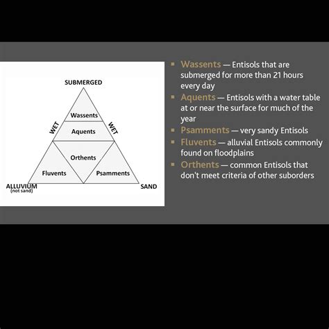 Entisols | Soil & Water Systems | University of Idaho