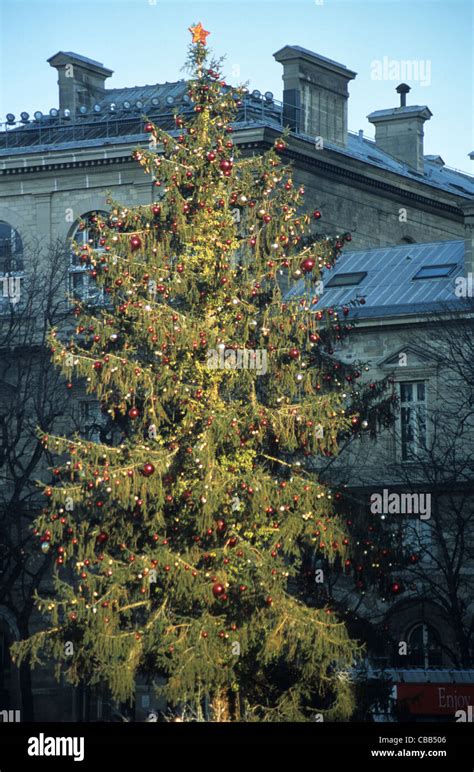 Christmas tree, Paris, France Stock Photo - Alamy