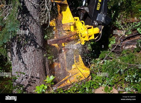 Close-up of a tree cutting machine Stock Photo - Alamy