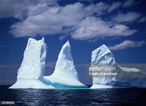 Iceberg Alley Photos and Premium High Res Pictures - Getty Images