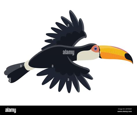 Flying tropical bird. Toucan in cartoon style isolated on white background Stock Vector Image ...