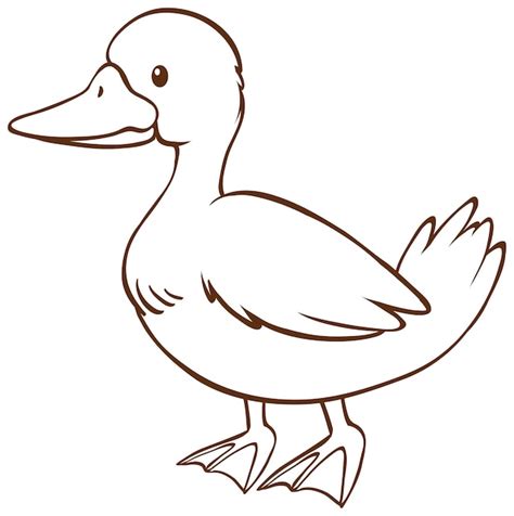 Duck Clipart Photo - Infoupdate.org