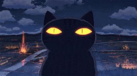 Cat Laser GIF - Cat Laser Boom - Discover & Share GIFs