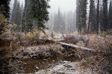 First snowfall | Stock image | Colourbox