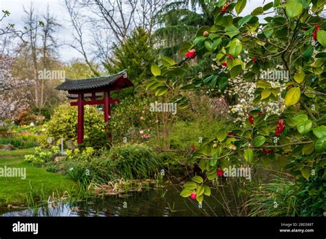 Spring in the Japanese garden Stock Photo - Alamy