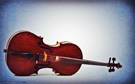 🔥 [50+] Cello Wallpapers on Computer | WallpaperSafari