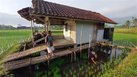 Wah Saung Sawah Di Pedesaan Tasikmalaya Ini Serasa Di Villa, Cocok Untuk Ngaliwet - YouTube