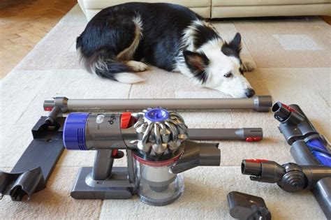 Dyson V8 Animal Review | Trusted Reviews