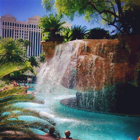 Mirage pool | Las vegas hotels, Las vegas trip, Mirage las vegas