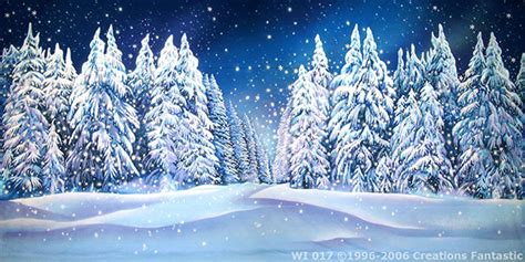 Backdrop Winter Wonderland | Backdrops Fantastic