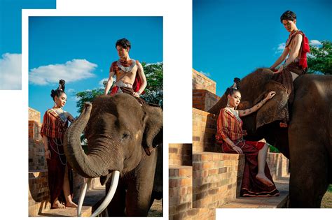 Elephant surin photoshoot | Elephant, Photoshoot, Animals