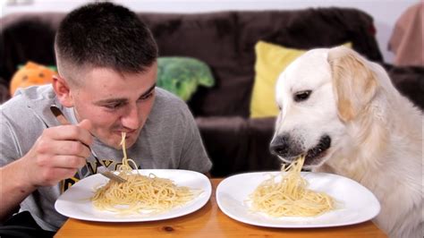 Can Dogs Eat Spaghetti Noodles