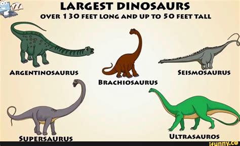 Argentinosaurus Vs Brachiosaurus