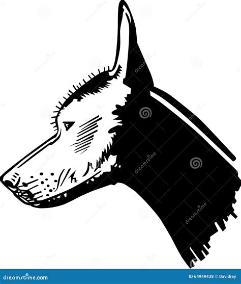 Xoloitzcuintle Clipart And Illustrations