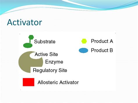 PPT - Enzyme Inhibition and Regulation PowerPoint Presentation, free download - ID:2205314