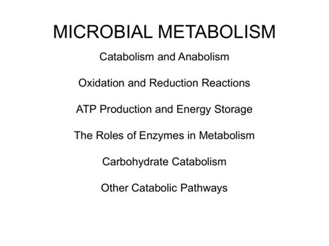 microbial metabolism