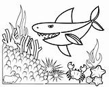 Baby Shark And Coral Reefs Coloring Page  Mitraland sketch template