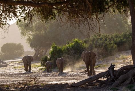 Skeleton Coast National Park - Journeys by Design