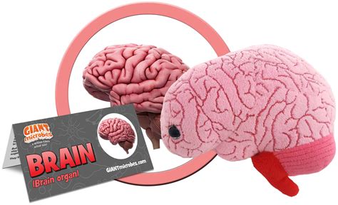 Giant Microbes Plush - Brain Organ