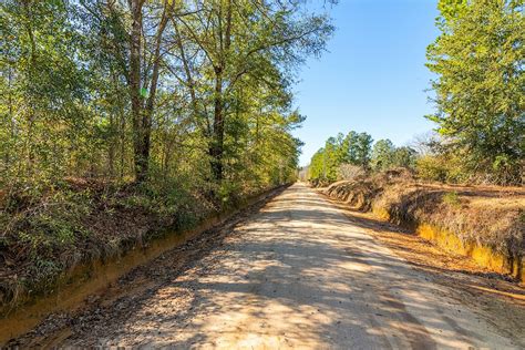 South Carolina Land For Sale - Elegment Land