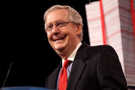 China Mitch: McConnell has family ties to Bank of China, top Chinese ...