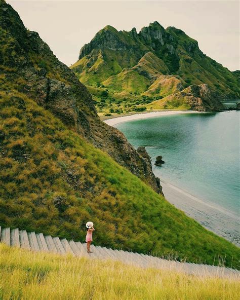 Pulau komodo,Labuan bajo,Flores,NTT | Komodo island, Indonesia ...