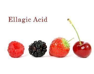 Ellagic acid - Alchetron, The Free Social Encyclopedia