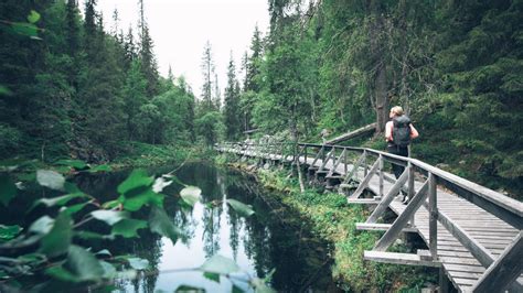 Forest Walking (Hiking for Beginners) | Visit Finnish Lapland