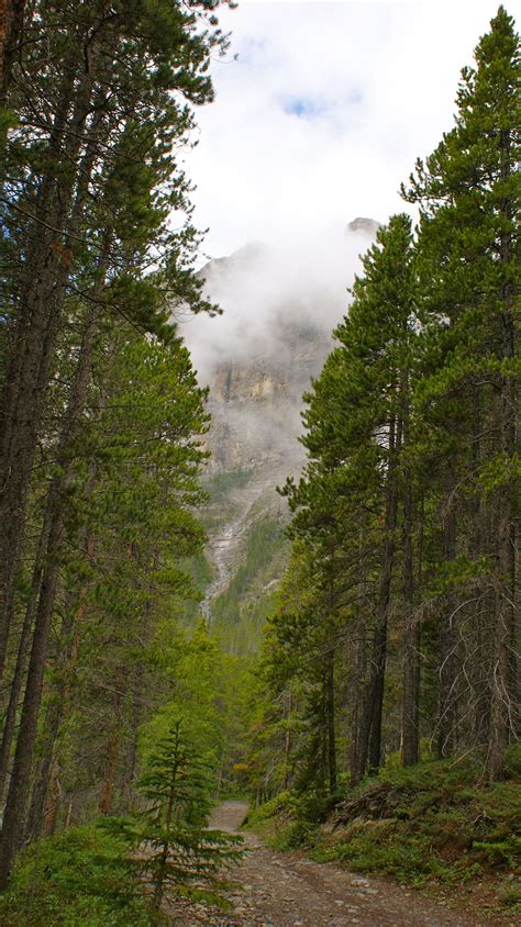 Hiking Trail - Canmore Alberta | Hiking trails, Places to visit ...