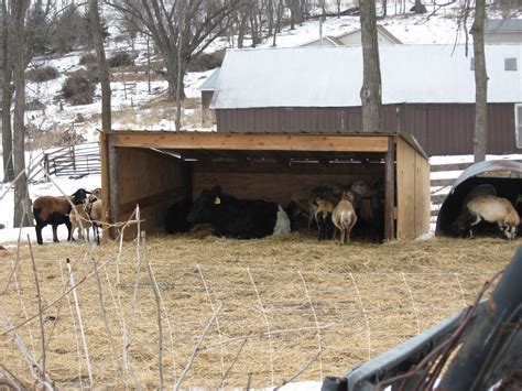 IMG_3706.JPG (1600×1200) | Sheep shelter, Goat shelter, Animal shelter