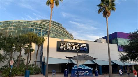 Tampa Bay's Florida Aquarium - Tampa Kids