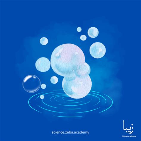 Water Wonders: Exploring Oceans, Rivers, and the Water Cycle | Science by Zeba Academy