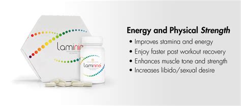 HOME - LAMININE-SUPPLEMENT