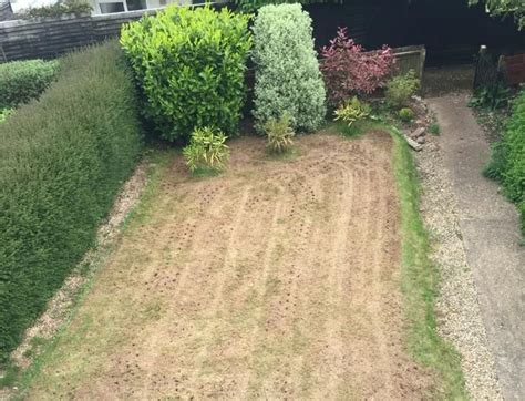 Lawn Scarification - Before and After Photos